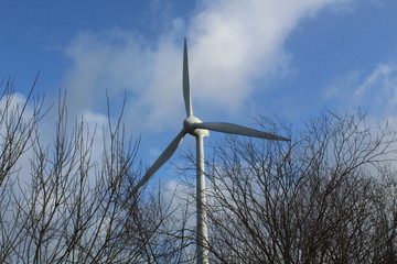 Windmills on a winter day shape the landscape in East Frisia
