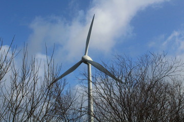 Windmills on a winter day shape the landscape in East Frisia