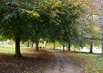 pathway through a park