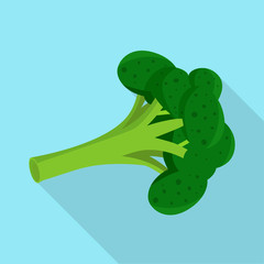 Isolated object of broccoli and green icon. Collection of broccoli and product vector icon for stock.