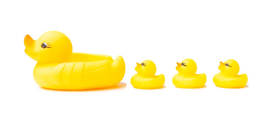 Yellow rubber duck isolated on white background