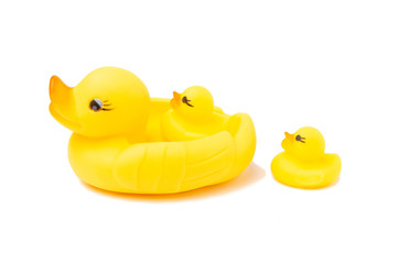 Yellow rubber duck isolated on white background