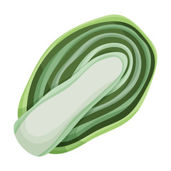 Cabbage vector icon.Cartoon vector icon isolated on white background cabbage.
