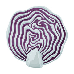 Obraz premium Cabbage vector icon.Cartoon vector icon isolated on white background cabbage.
