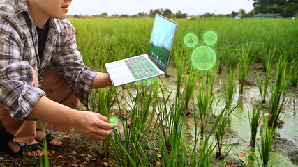 Agriculture technology attractive farmer navigating farmland with laptop computer  innovations for increasing productivity in agriculture.