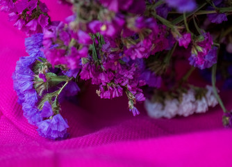 Bouquet of purple of dry flowers on bright pink background.