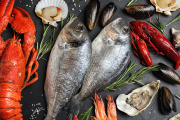 Fresh fish and different seafood on black table, flat lay
