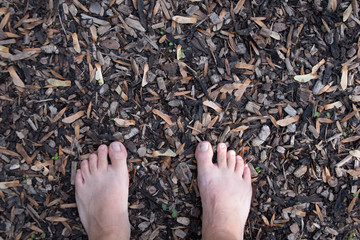 Hainburg an der Donau, Austria