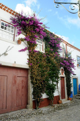Fototapeta na wymiar Haus in Óbidos