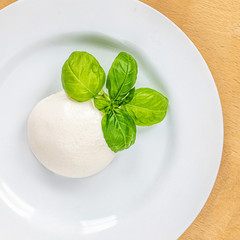 Traditional Italian Mozzarella cheese and basil leaf on white plate over wood table. Traditional Italian food .