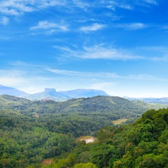 Fototapeta na wymiar Mountains and tropical vegetation. Sri Lanka landscapes .