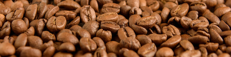 Roasted coffee beans close-up panoramic view, selective focus.