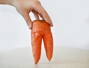 Ugly carrots.Funny, unnormal vegetable or food waste concept. Unformatted vegetables.