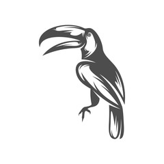 Parrot logo icon design vector illustration, Parrot logo template