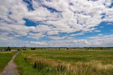 Scenic marsh landscape with view over a sewer with Marina in the background and wonderful white clouds in the blue sky, Greetsiel, Lower Saxony, North Germany