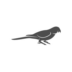 Parrot logo icon design vector illustration, Parrot logo template