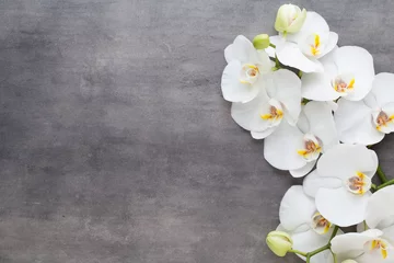 Foto auf Leinwand Schönheitsorchidee auf einem grauen Hintergrund. Spa-Szene. © gitusik