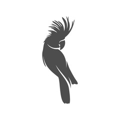 Parrot logo icon design vector illustration, Parrot logo template © shuttersport