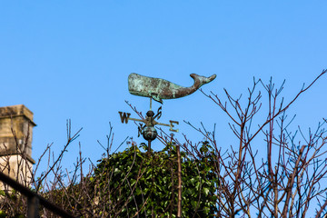 A weather vane in the shape of a sperm whale above an ivy covered roof in Bradford on Avon