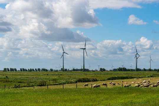 Five wind turbines for energy generation in green meadows, sheep graze in front of it. Blue sky with white clouds. Near Pilsum, Friesland, Germany