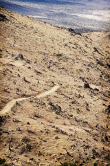 Hiking a trail in the desert