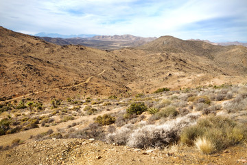 Hiking the trail in Joshua Tree National Park