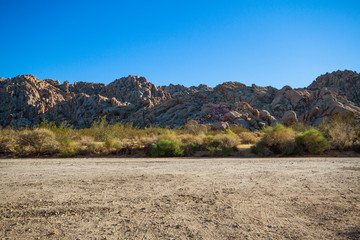 Rock formations in Joshua Tree National Park