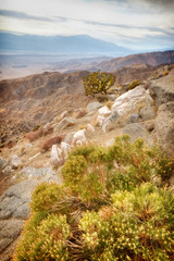 Looking out from Keys View in Joshua Tree National Park