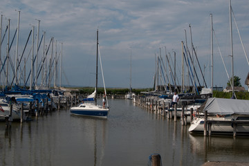 Fototapeta premium Neusiedler See