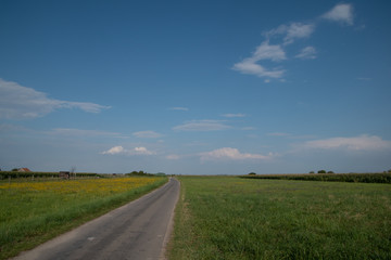 Fototapeta premium Neusiedler See