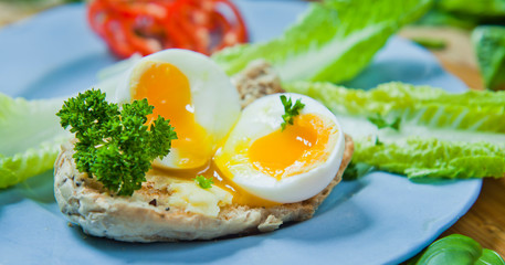 Soft boiled egg on the toasted multi seeded bread decorated with fresh parsley.