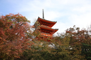 Fototapeta na wymiar Kiyomizu-dera temple, Kyoto, Japan