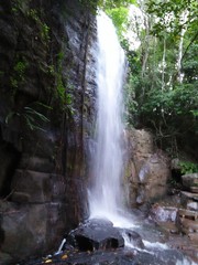 Naklejka na ściany i meble waterfall in forest