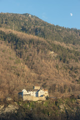 Fototapeta na wymiar Castle Vaduz in the alps, Principality Liechtenstein, Europe
