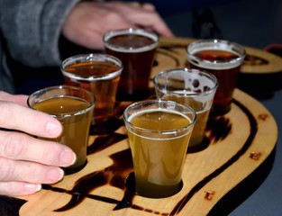 Beer tasting flights at brewery Suwanee, Georgia, USA