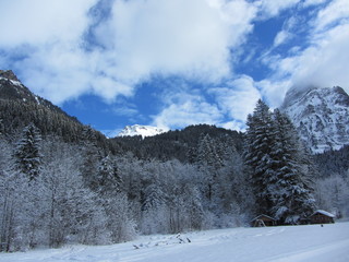 Zimowe góry i lasy szwajcarskie - Alpy, Szwajcaria - obrazy, fototapety, plakaty