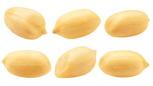 peanut isolated on white background, clipping path, full depth of field