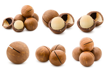 macadamia, nut, isolated on white background, full depth of field