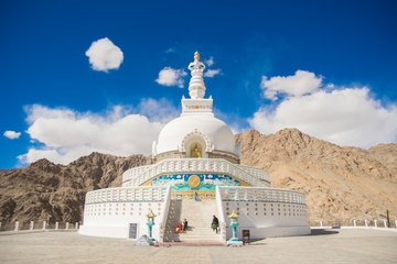 world peace pagoda in leh, ladakh - obrazy, fototapety, plakaty