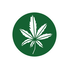 cannabis leaf in a circle - flat logo in green