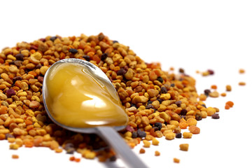 Propolis Blütenpollen Honig