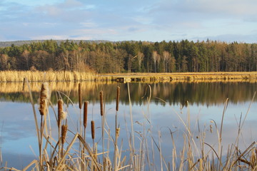 Oberpfälzer weiher