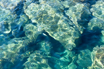 Fototapeta na wymiar Transparent sea water and undersea background