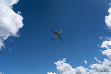 Bottom View of the Airplane in the sky with blank copy space for travel concept