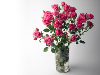A bouquet of roses in pink in vase on a white background