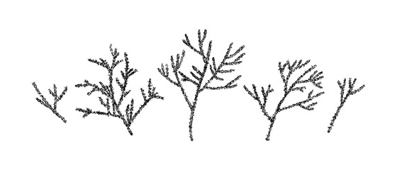 Hand drawn prickly branch collection painting by ink. Sketch botanical vector illustration. Black isolated outline plants on white background