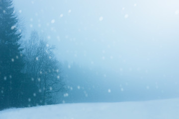 Winter cold landscape. The outskirts of a dark forest in the village. Snow is falling, overcast. Place for text