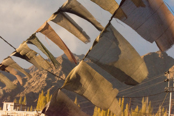 Tibetan flags waving in the wind in Leh, Ladakh