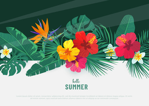 Summer Tropical Vector Background. Flat Lay Geometric Tropic Design With Exotic Hibiscus Flower And Palm Leaves. Spring Floral Wall Border Illustration