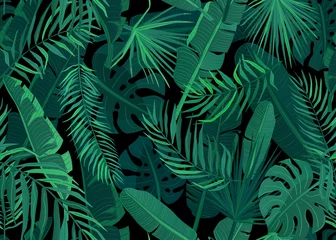 Tapeten Palmen Tropische nahtlose Muster-Vektor-Illustration. Tropischer floraler endloser Hintergrund mit exotischen Palmen, Bananen, Monstera-Blättern auf dunkelschwarzem Hintergrund